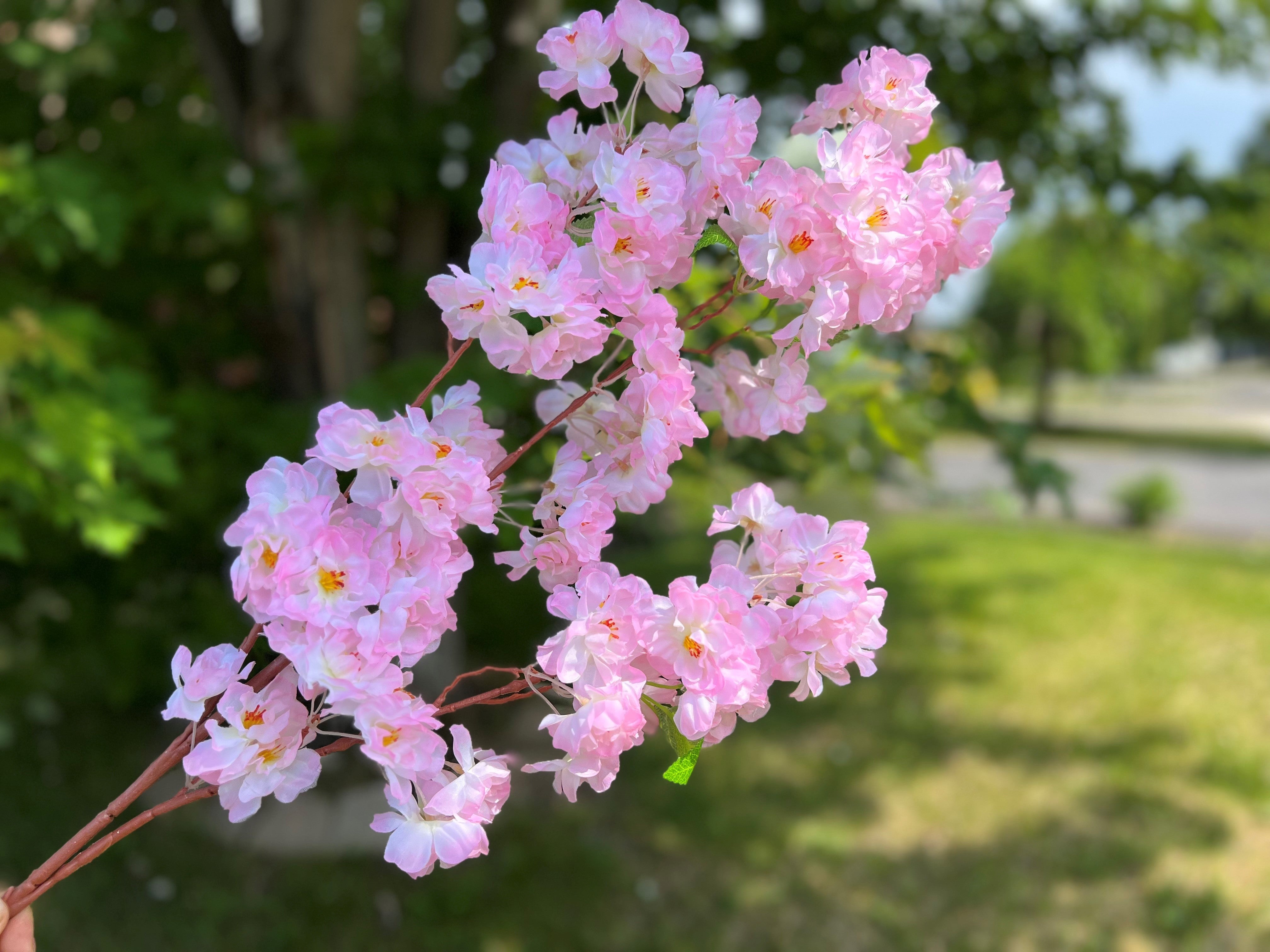 SILK CHERRY BLOSSOM